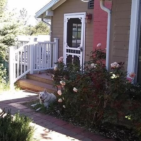 Blue Bird Cottage - Pet Friendly Julian Eksteriør bilde