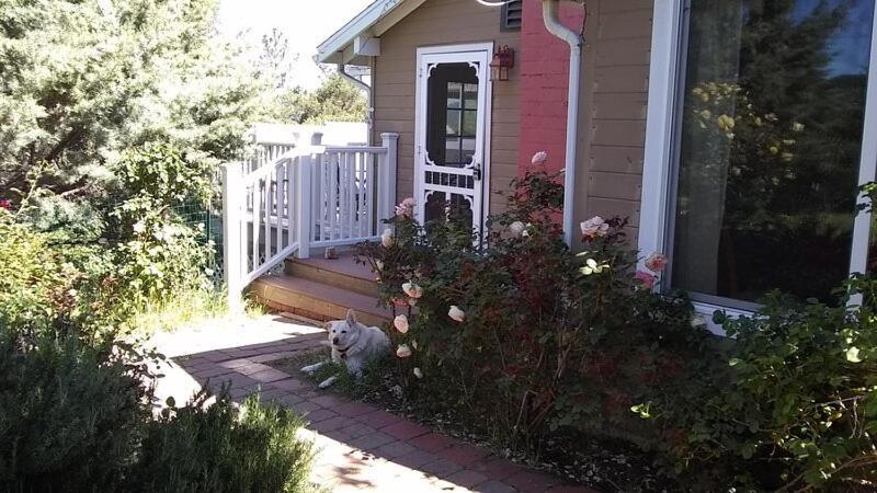 Blue Bird Cottage - Pet Friendly Julian Eksteriør bilde